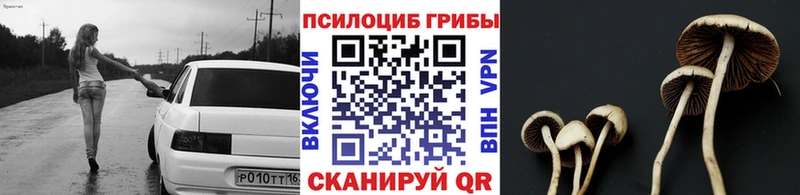 Галлюциногенные грибы Psilocybe  Канаш 